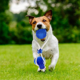 JUGUETE  INTERACTIVA CON VENTOSA PARA  MASCOTAS