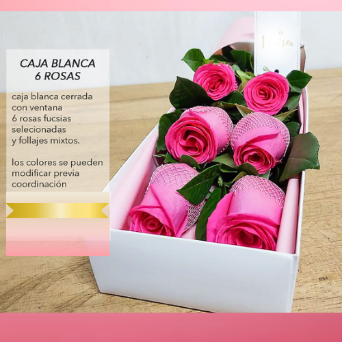 CAJA BLANCA 6  ROSAS