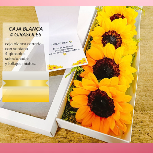 CAJA BLANCA 4 GIRASOLES