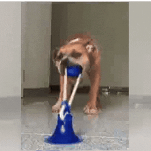 JUGUETE  INTERACTIVA CON VENTOSA PARA  MASCOTAS