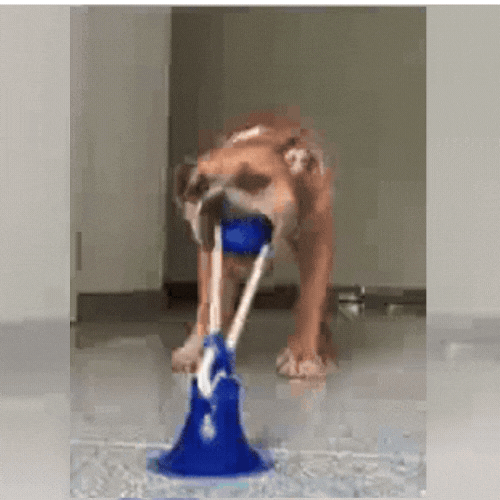 JUGUETE  INTERACTIVA CON VENTOSA PARA  MASCOTAS